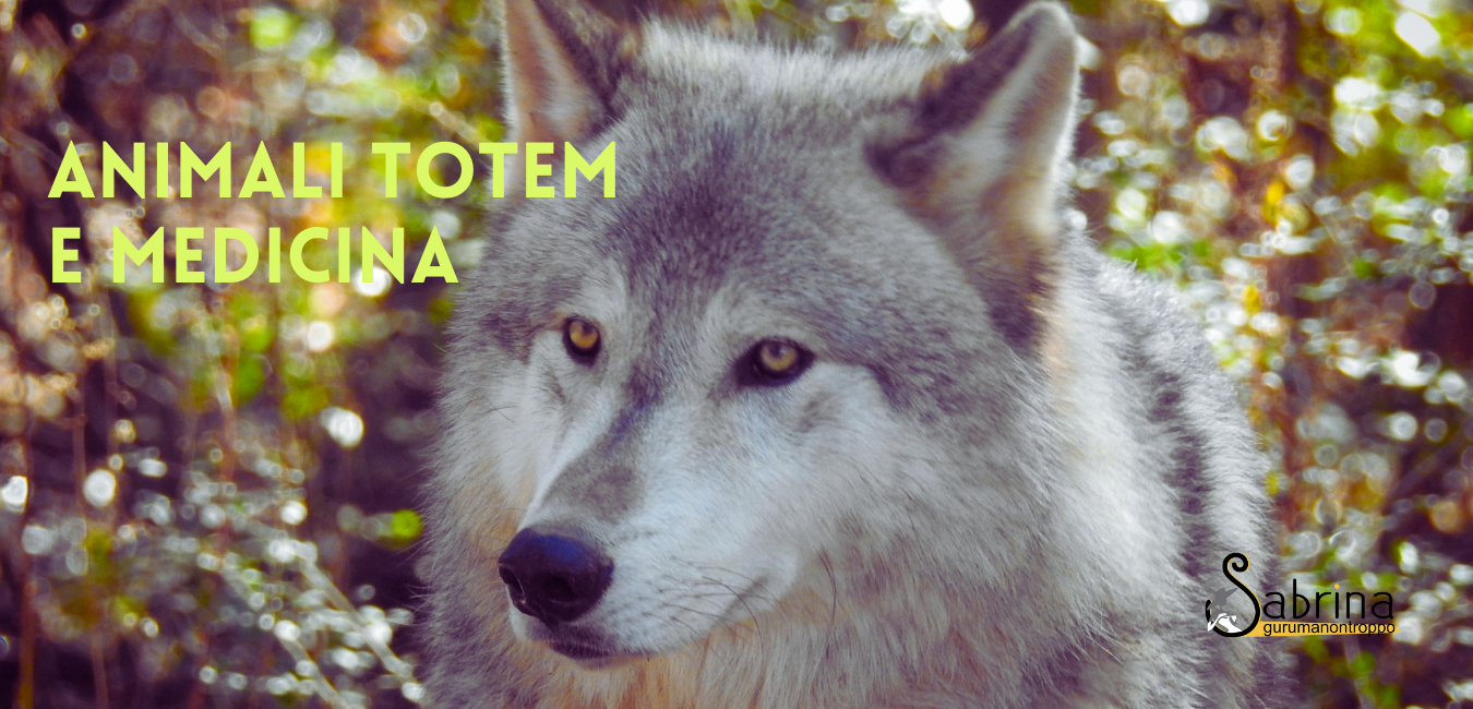 Animali Totem e Medicina