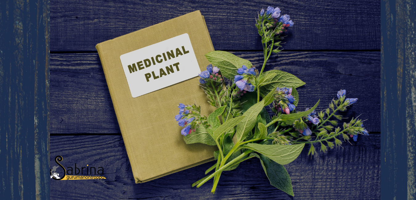 Piante Medicinali