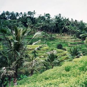 Viaggio a Bali