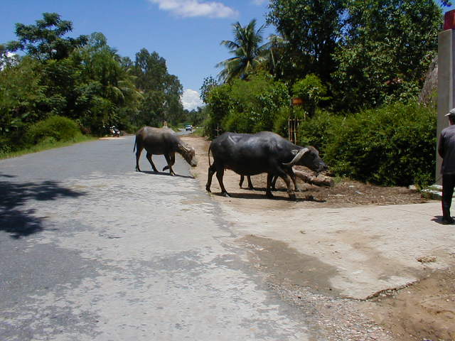 Hội An