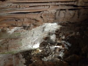 Grotte di Postumia - Slovenia