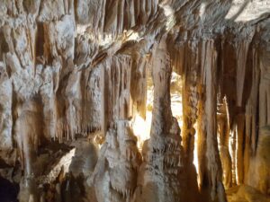 Grotte di Postumia - Slovenia
