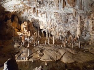 Grotte di Postumia - Slovenia